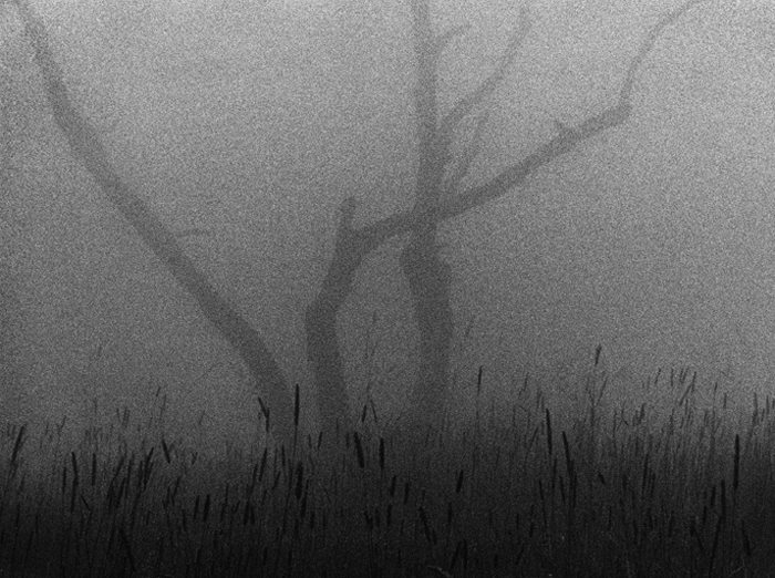 Nirvana beyond dark I