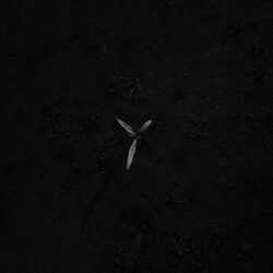 고요 I , 충청남도 아산, 2001