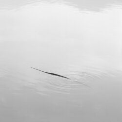 고요 I , 경기도 용인, 1999
